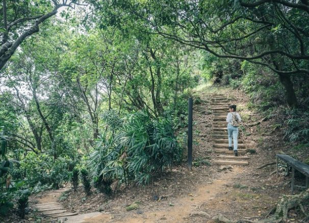 烘爐地登山步道