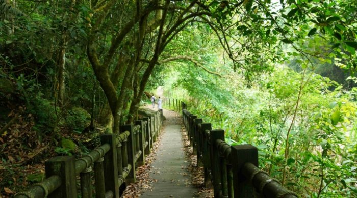 南庄鄉旅遊景點 南庄鄉旅遊景點