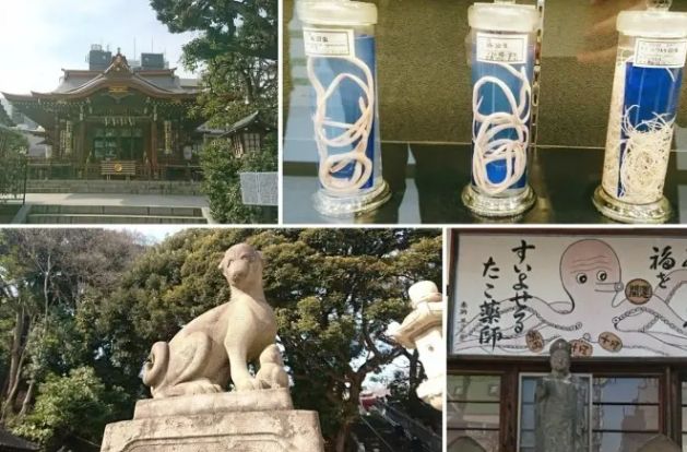 目黑美術館 展覽 目黑美術館 展覽