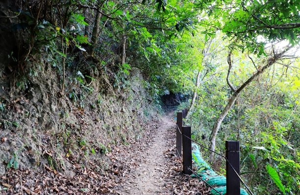 龍麟山步道維修 龍麟山步道維修