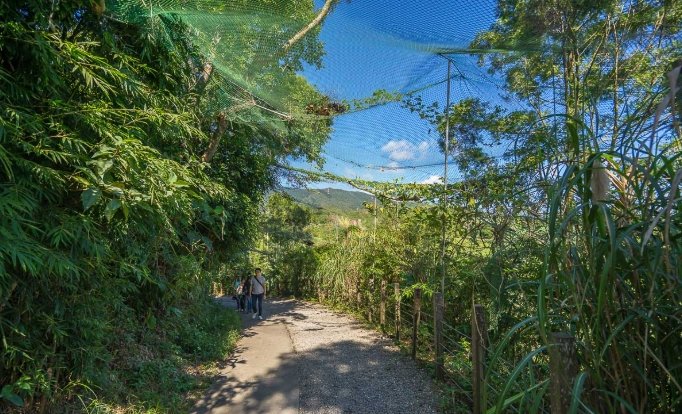 林美石磐步道難度 林美石磐步道難度