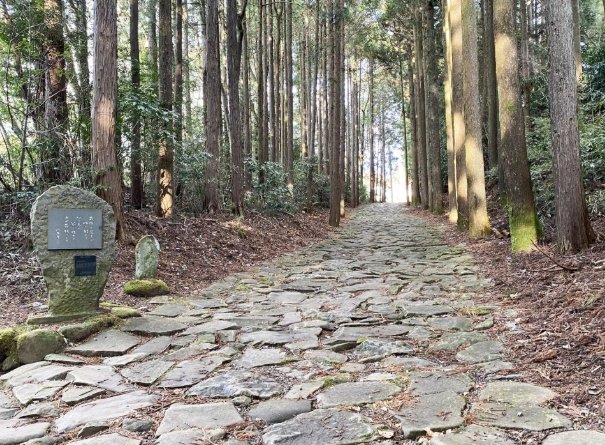 箱根森林徒步