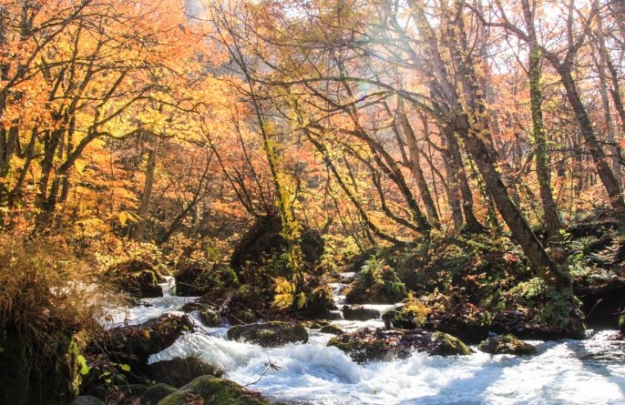 奧入瀨溪景點地圖