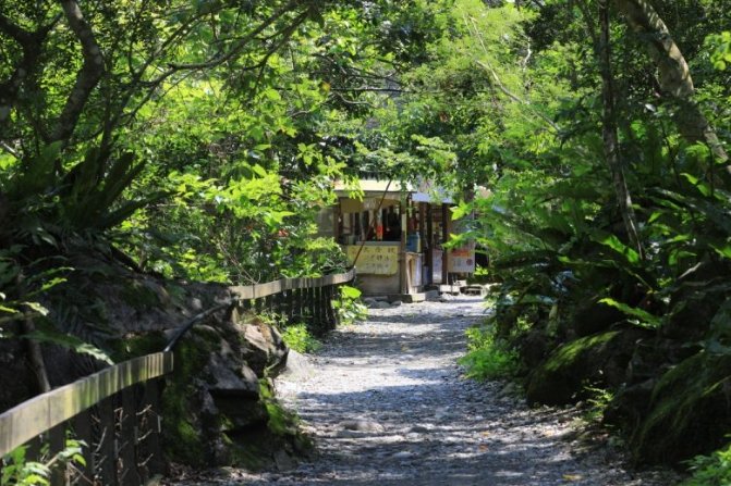 砂卡礑步道關閉