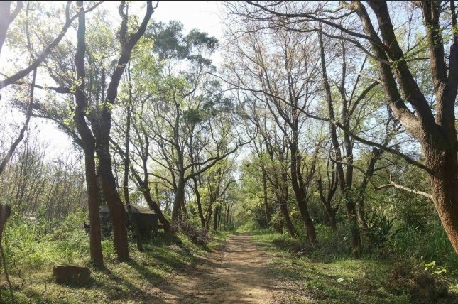 苗栗頭份步道 苗栗頭份步道