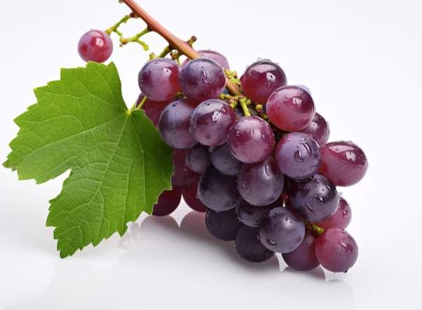 葡萄營養價值全解析：從抗氧化到心血管保健的完整指南