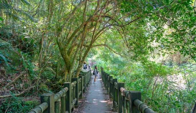 蓬萊溪護魚步道 蓬萊溪護魚步道