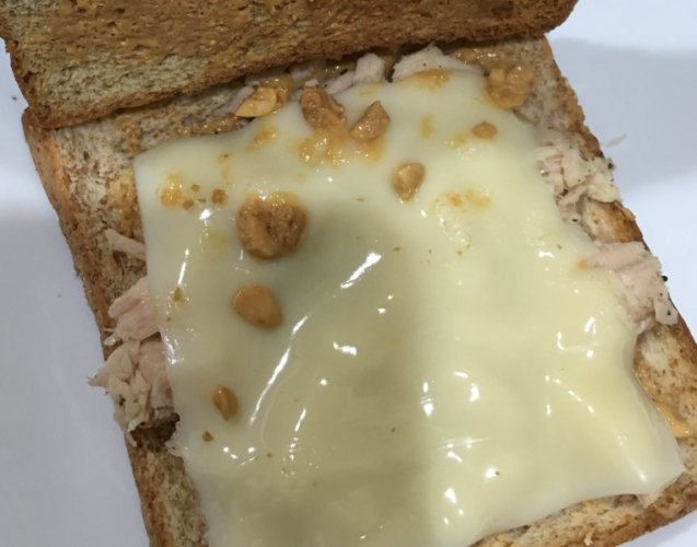 高蛋白起司 高蛋白起司