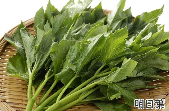 明日葉料理食譜