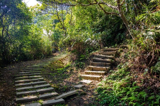 烘爐地交通資訊