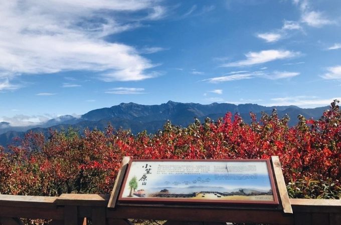 小笠原山觀景台路線 小笠原山觀景台路線