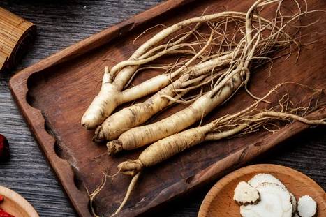 西洋蔘最佳服用時機