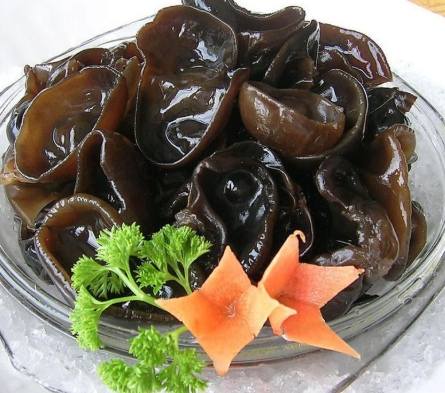 黑木耳攝取建議