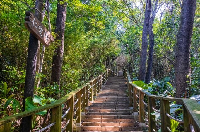 羊稠坑步道挑戰 羊稠坑步道挑戰