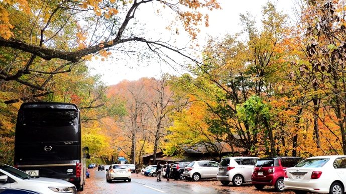 自駕遊奧入瀨溪流