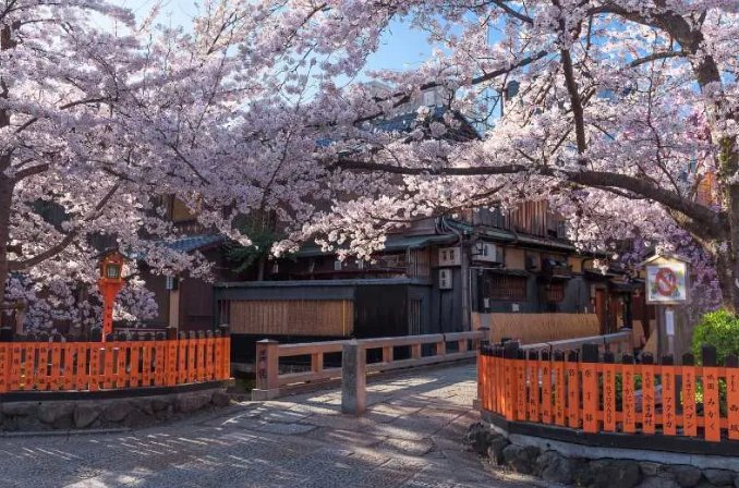 四條通逛街攻略