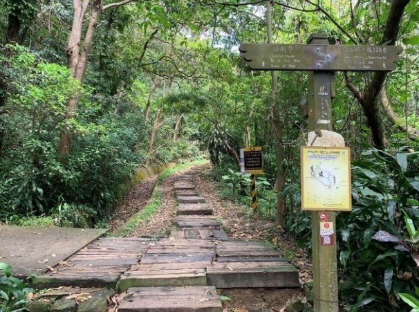 金面山步道時間 金面山步道時間
