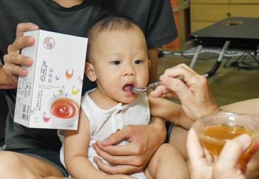 兒童飲用九尾草