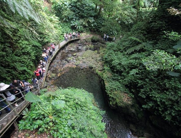 林美石磐步道難度 林美石磐步道難度