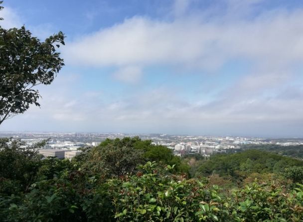 桃園登山難度 桃園登山難度