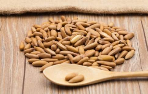 巴西松子好處 巴西松子好處