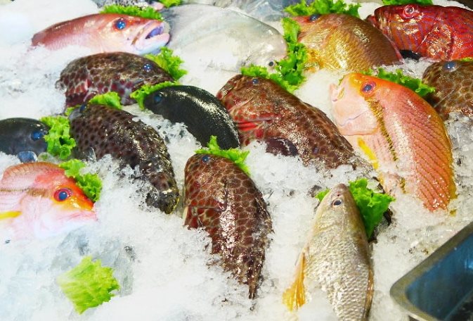 沙鹿市場美食 沙鹿市場美食