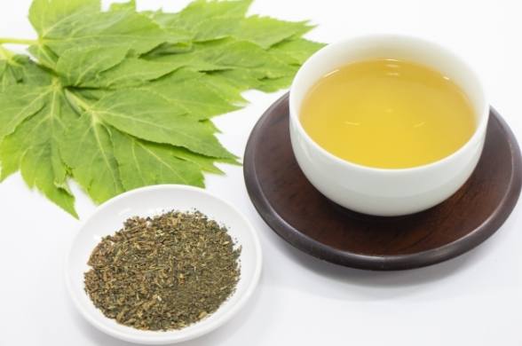 明日葉茶副作用