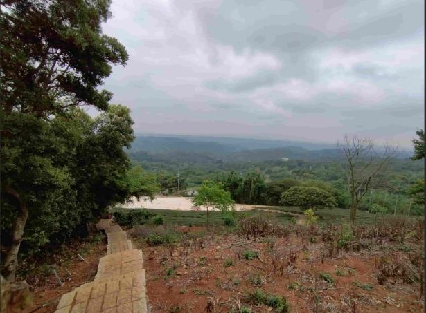 桃園有難度的山