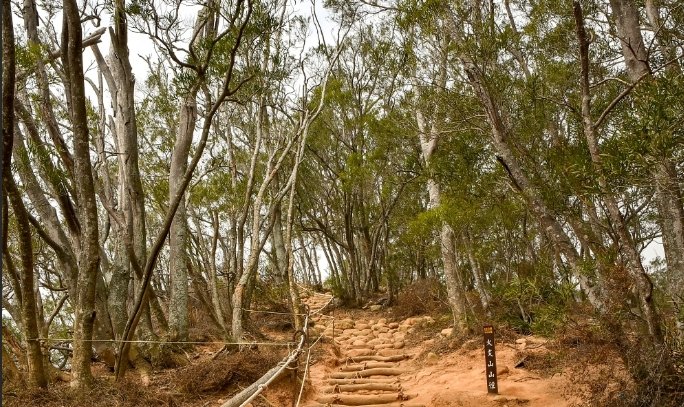 火炎山步道難度 火炎山步道難度