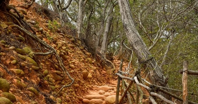 火炎山步道距離 火炎山步道距離