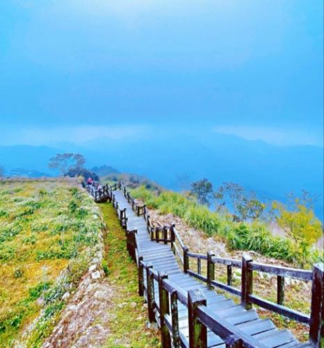二延平步道雲海 二延平步道雲海