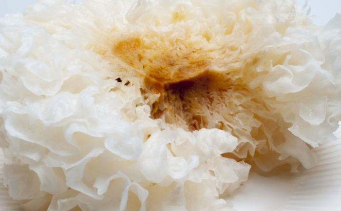 銀耳功效中醫 銀耳功效中醫