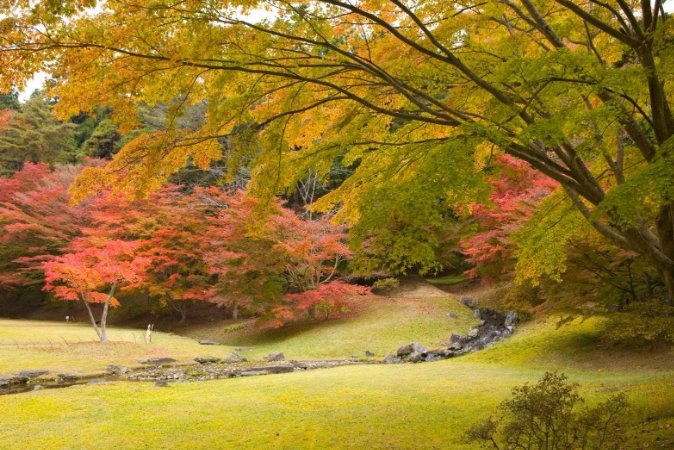 毛越寺紅葉季節 毛越寺紅葉季節