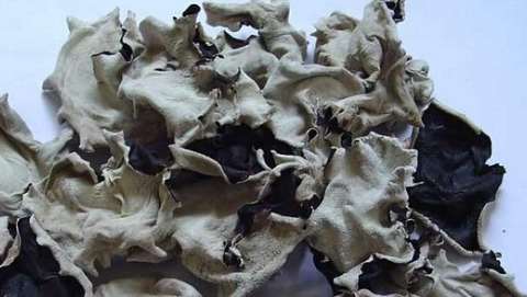 紅棗水飲用禁忌 紅棗水飲用禁忌