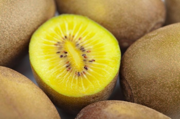 奇異果脹氣原因