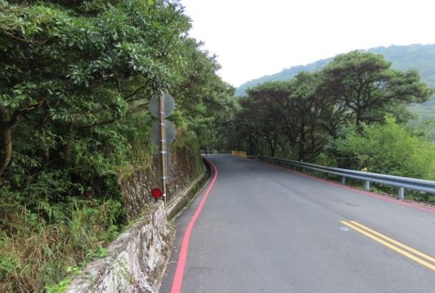 陽明山古道健行 陽明山古道健行