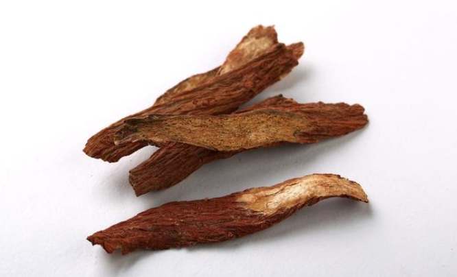 丹參應用 丹參應用