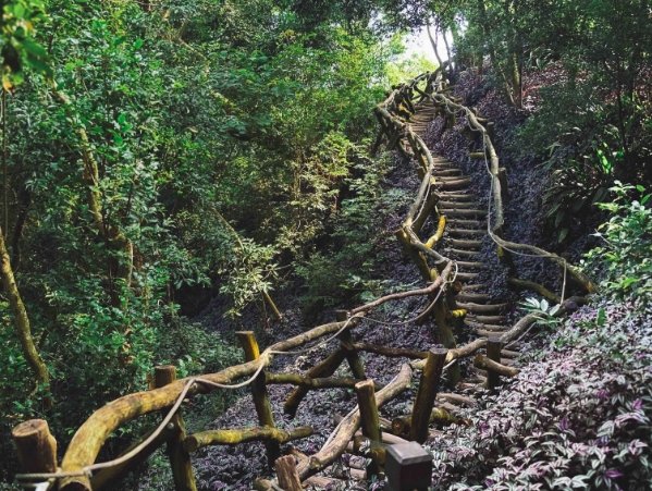 大坑步道封閉資訊