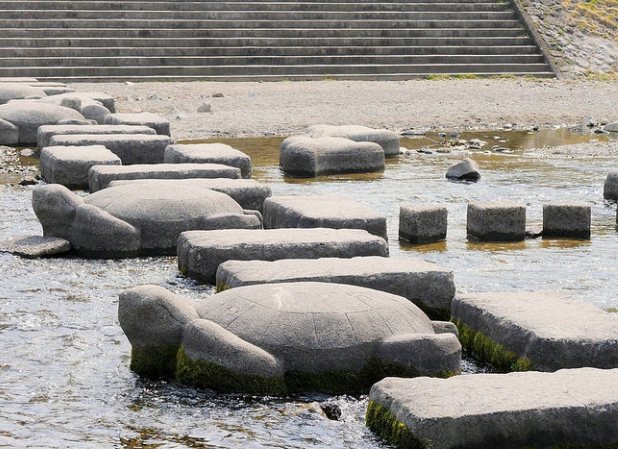 鴨川跳烏龜歷史