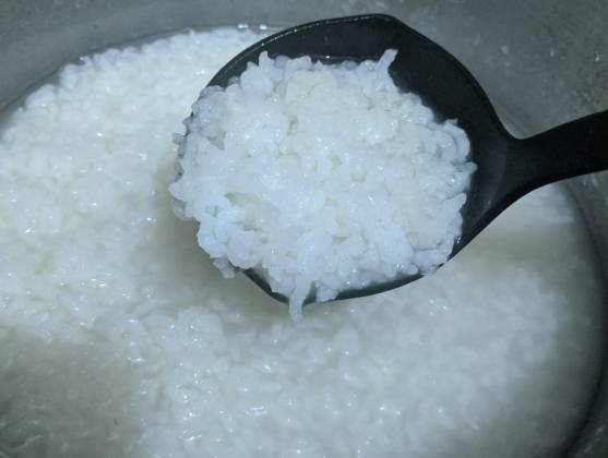 電鍋煮粥比例 電鍋煮粥比例