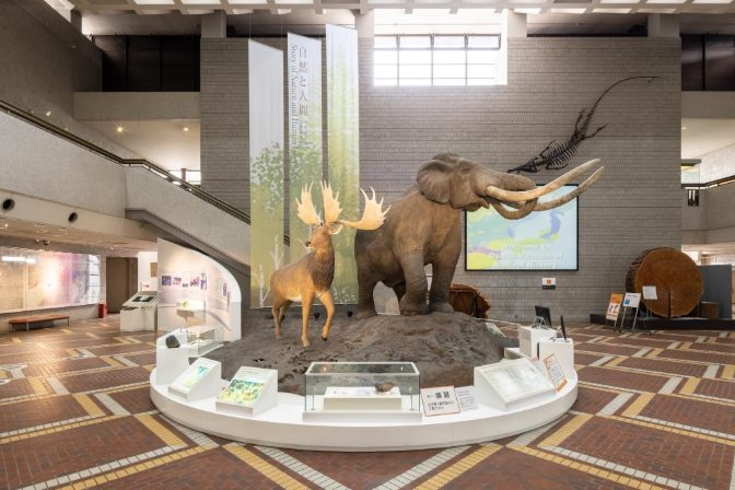 大板博物館 展覽