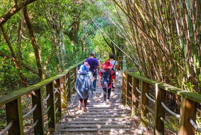 羊稠坑步道挑戰 羊稠坑步道挑戰