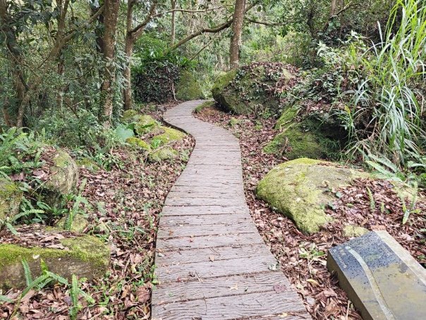南庄護魚步道大眾運輸