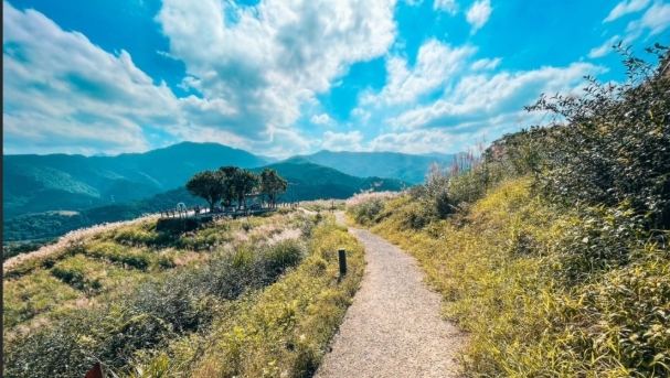 宜蘭親子步道 宜蘭親子步道