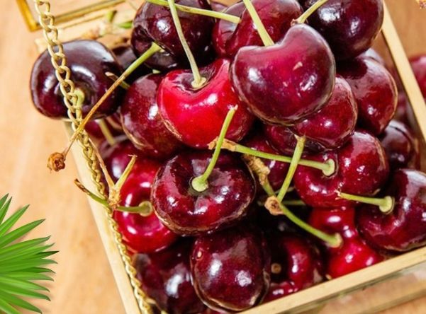 天然褪黑激素食物 天然褪黑激素食物