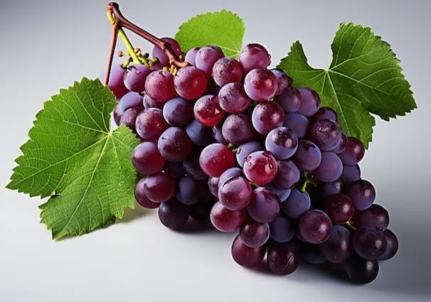 葡萄營養成分 葡萄營養成分