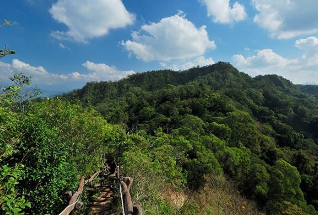 台中登山步道維護