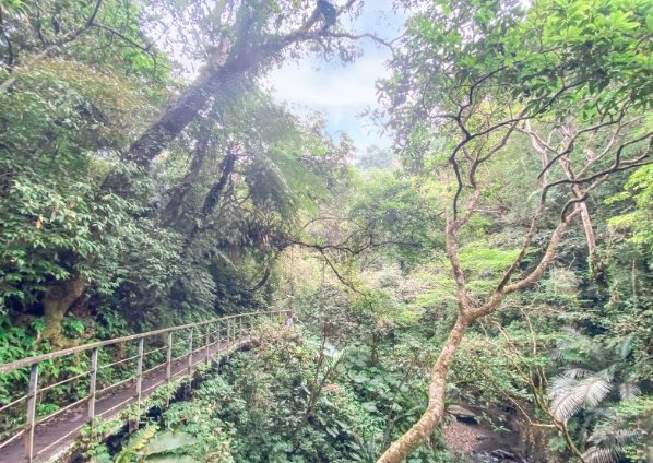 林美石磐步道維修 林美石磐步道維修