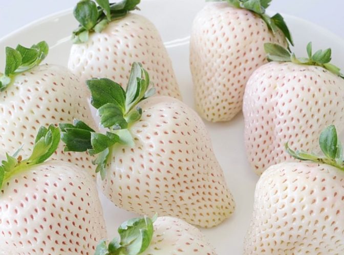 草莓顏色意義 草莓顏色意義