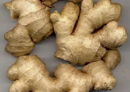 薑搭配禁忌 薑搭配禁忌